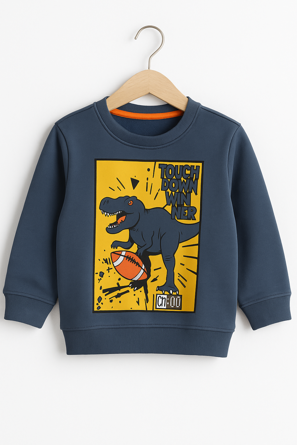 Dainasour kids sweat shirt