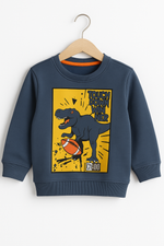 Dainasour kids sweat shirt