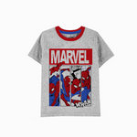 Grey spider kids t-shirt