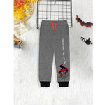 Spider Kids Trouser